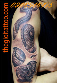 Hinh Xam Ran Tattoo Con Rắn Snake Tattoo Xam Hinh Nghe Thuat Dep Gia Re