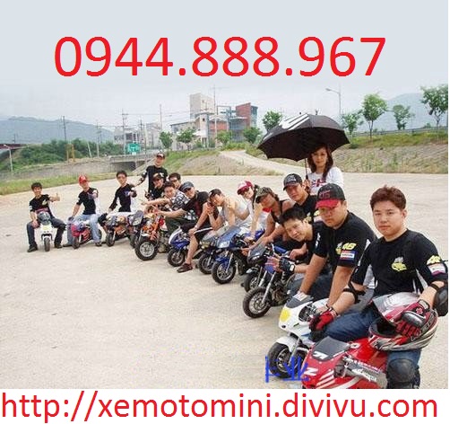 Bán Xe Ruồi Xe Ruoi Xeruoi Xe Mô Tô Ruồi Xe Moto Mini Tại Hà Nội