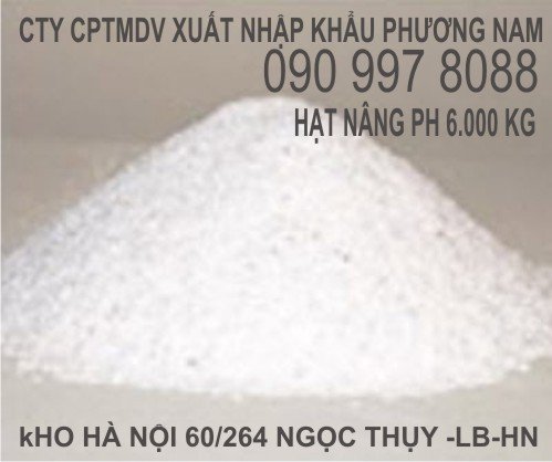 Hạt Nâng Ph Việt Nam Kho Tại Hà Nội  6000/Kg