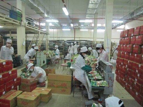 Tuyển Công Nhân Sản Xuất Đóng Gói Bánh Kẹo Làm Tại Bắc Giang