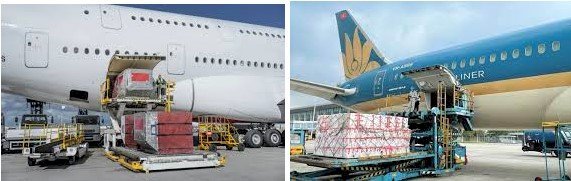 Vận chuyển hàng hóa nội địa đường hàng không