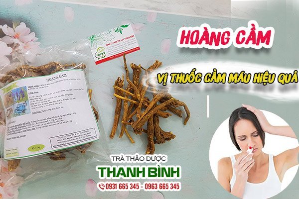 Công dụng và cách dùng hoàng cầm chữa bệnh