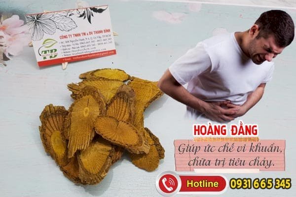 hoàng đằng Thảo Dược Thanh Bình