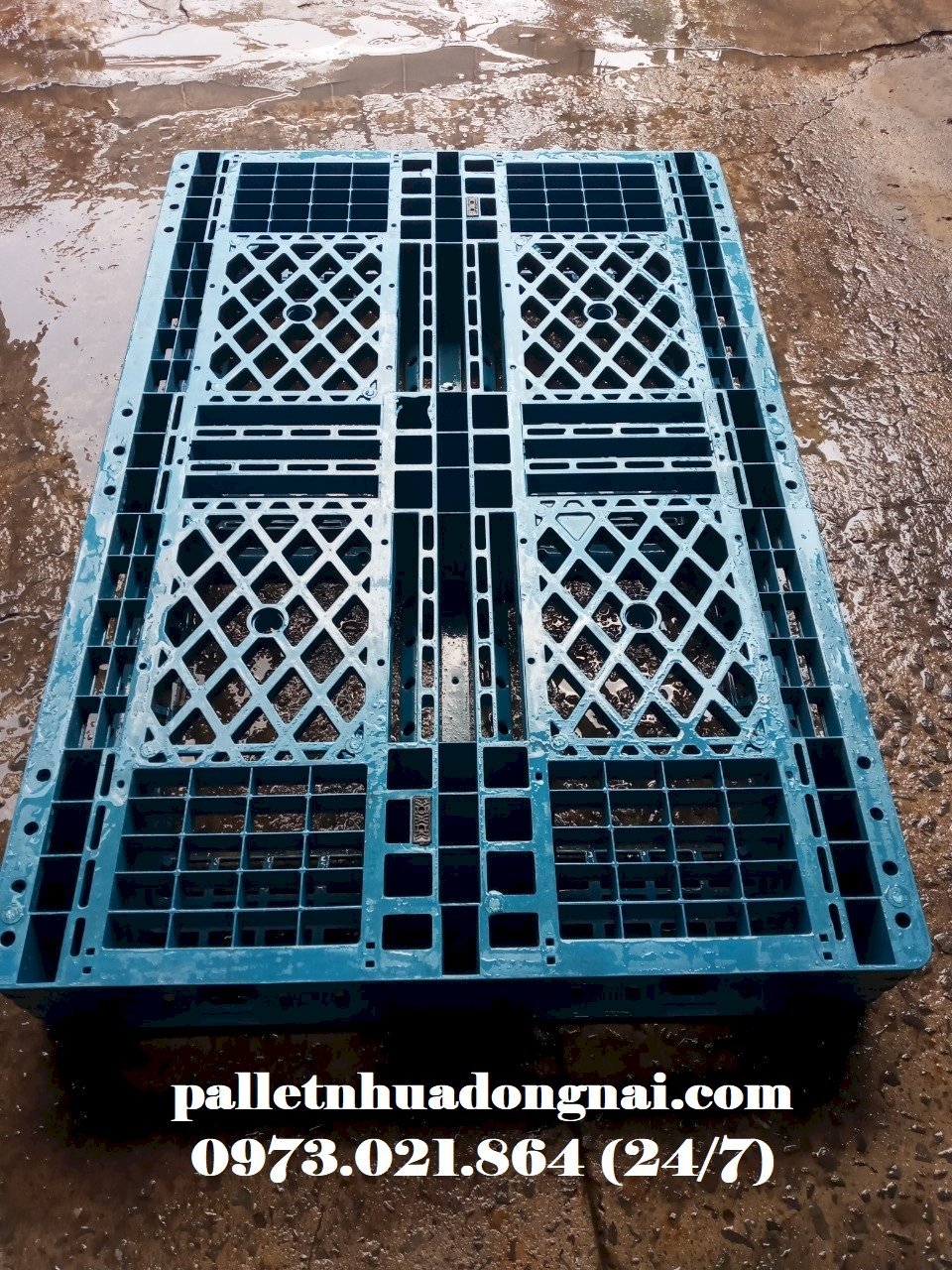 Pallet nhựa cũ tại Trà Vinh, liên hệ 0973021864 (24/7)