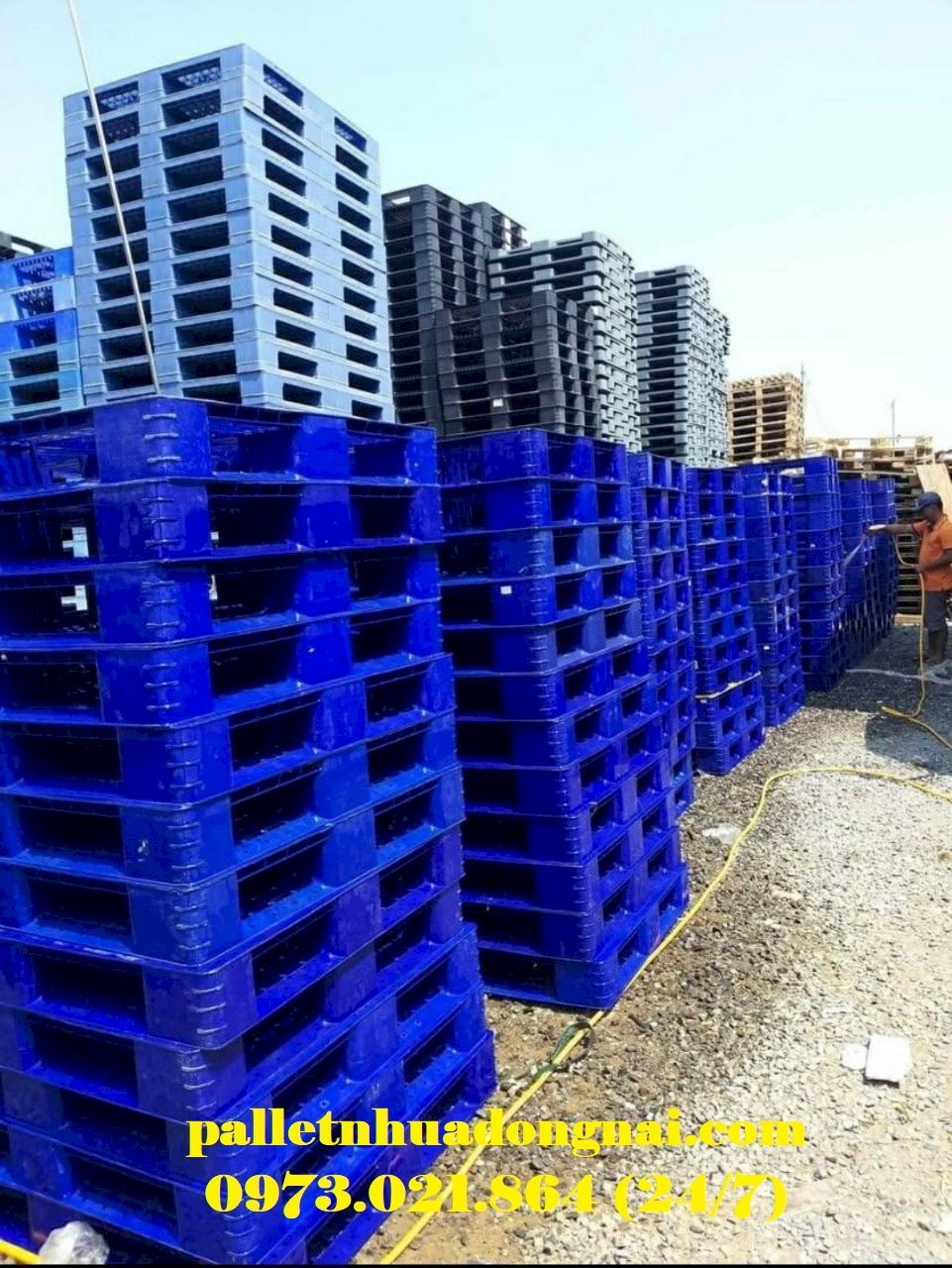 Pallet nhựa cũ tại Cà Mau, liên hệ 0973021864 (27/4)