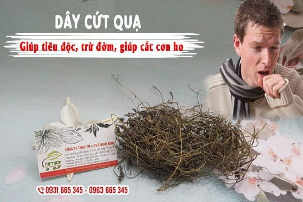 dây cứt quạ thảo dược thanh bình