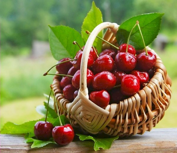 Tác dụng của quả cherry