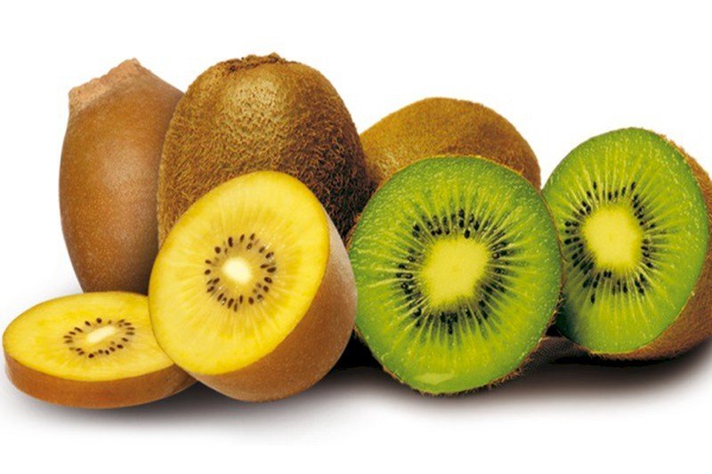 Kiwi vàng hay xanh tốt hơn