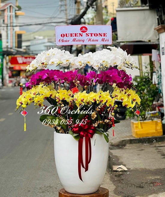 Hoa Lan 360 địa chỉ mua hoa lan hồ điệp mừng thọ ông bà