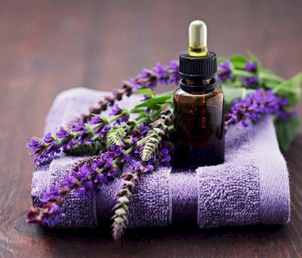  Dầu thơm trong Lavender khô có tác dụng thư giãn và giảm căng thẳng