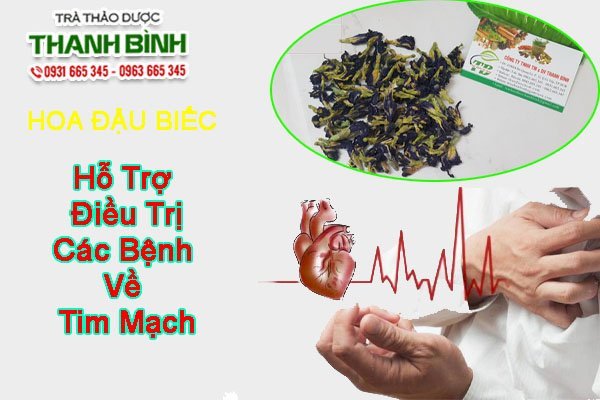 Đặc điểm về hoa đậu biếc