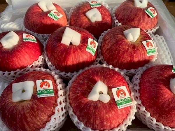 　Tại Nhật Bản có tất cả 50 loại táo khác nhau