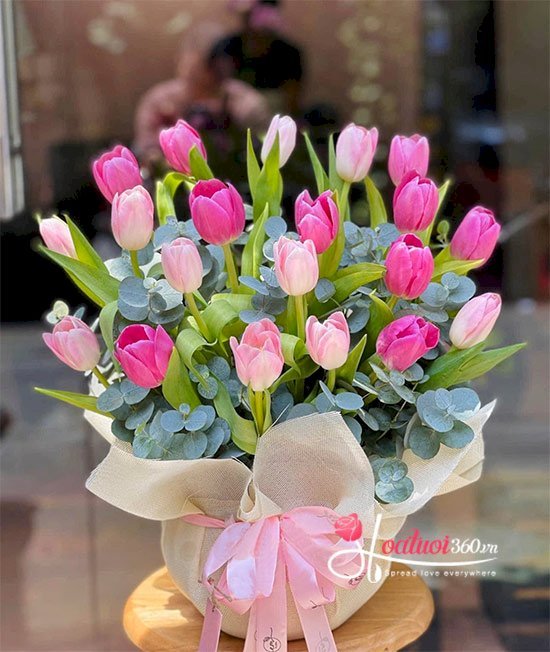 Hoa tulip đỏ tặng 20/10 tặng người phụ nữ bạn yêu