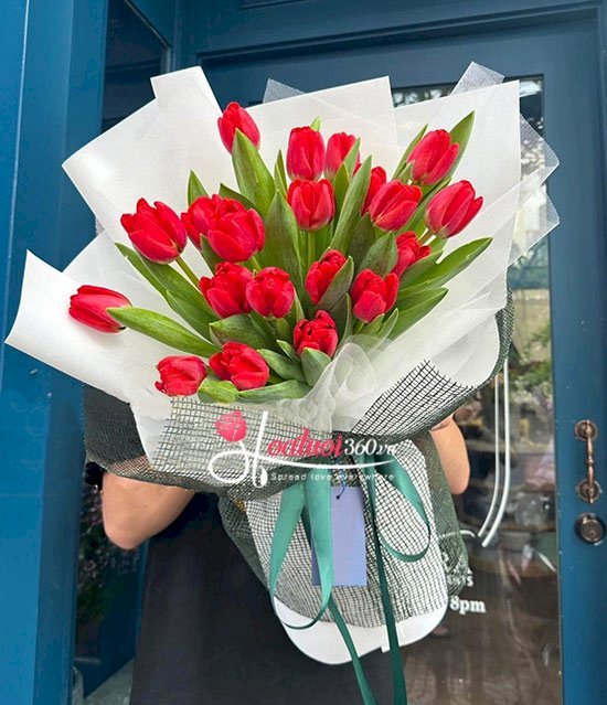 Hoa tulip đỏ tặng 20/10 cho đồng nghiệp, bạn bè