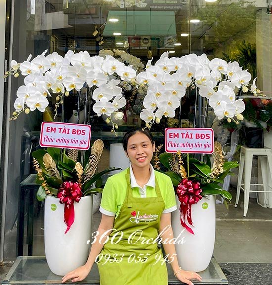 Hoa lan 360 - cửa hàng hoa lan hồ điệp uy tín, chất lượng
