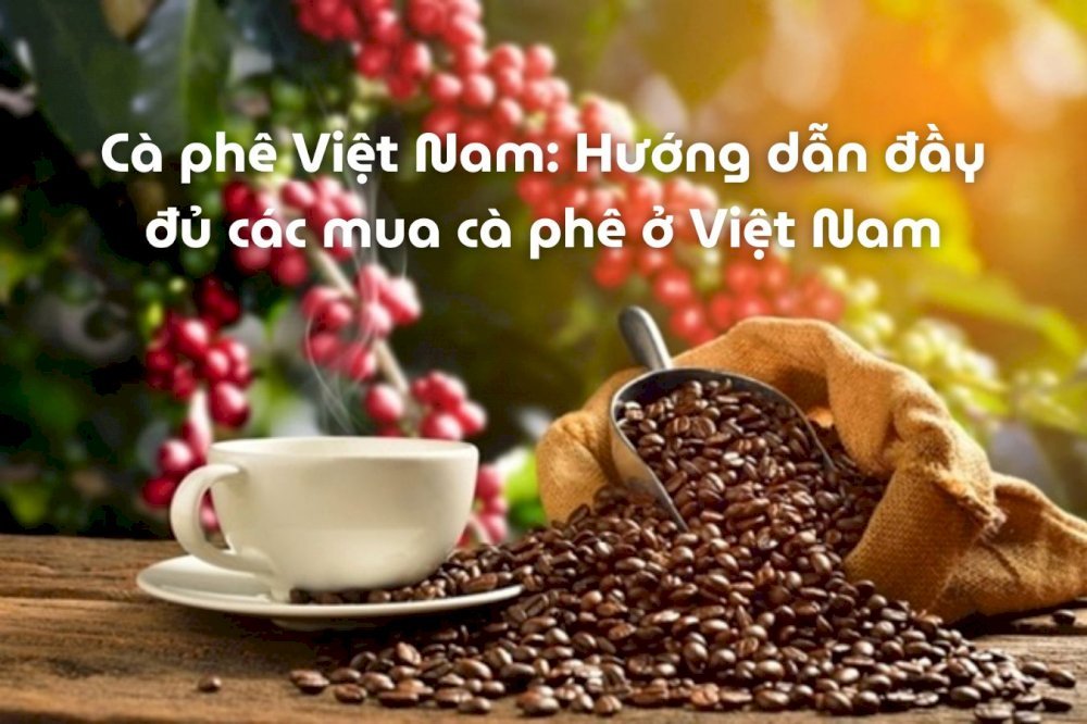 Cà phê Việt Nam Hướng dẫn đầy đủ cách mua cà phê tại quán cà phê ở Việt Nam