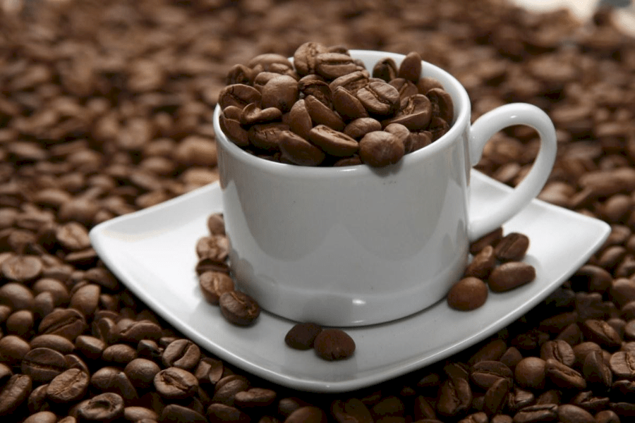 Giá 1kg cà phê hạt hiện nay bao nhiêu tiền?