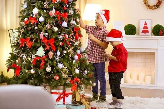 Trang trí cây thông Noel bằng cách treo quả cầu màu sắc 