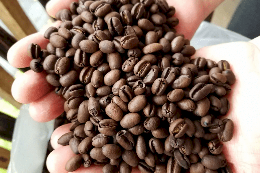Cà phê Culi – Gai góc nhưng cũng đầy quyến rũ