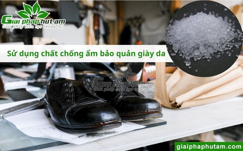sử dụng chất chống ẩm để kiểm soát Độ ẩm bảo quản giày da