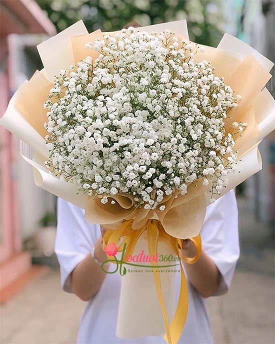 Hoa bi trắng độc đáo nhất