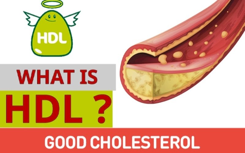 cholesterol hdl là gì