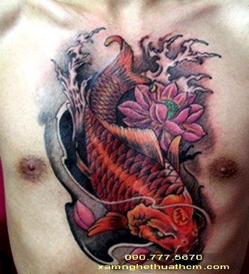 Hình Xăm Cá Chép Hóa Rồng|Koi Fish Tattoo|Hinh Xam Ca Chep Hoa