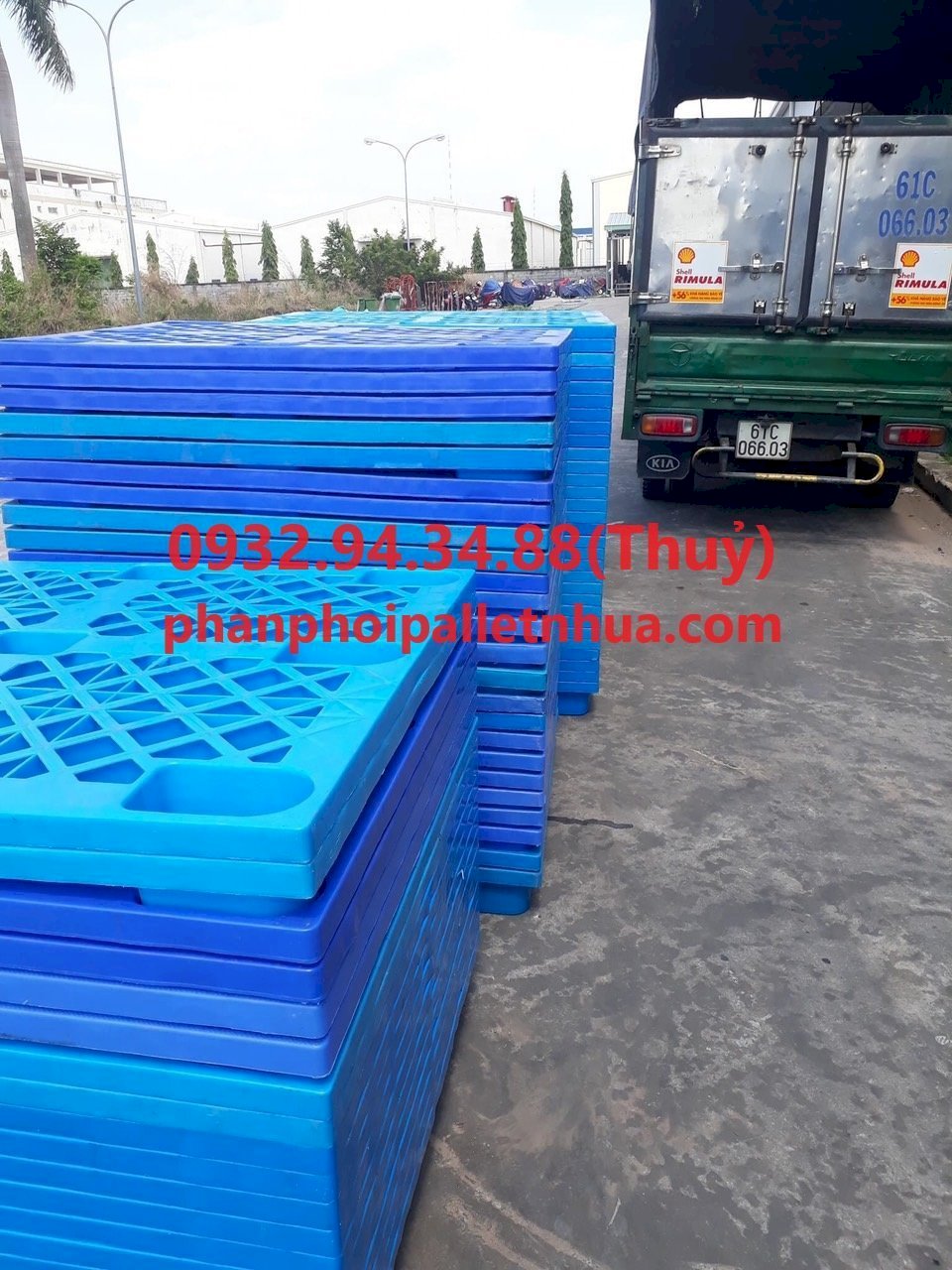 Bán pallet nhựa tại Long An, liên hệ 0932943488 1711615035-oas