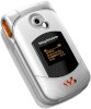 Sony Ericsson W300i - Ảnh 2