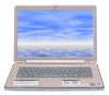 Sony Vaio VGN-CR320E/P (Intel Core 2 Duo T7250 2GHz, 2GB RAM, 250GB HDD, VGA Intel GMA X3100, 14.1 inch, Windows Vista Home Premium) - Ảnh 9