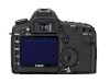 Canon EOS 5D Mark II (EF 24-105mm L IS U) Lens Kit  - Ảnh 2