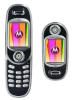 Motorola V80_small 0