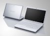 Sony Vaio VPC-EC2S0E/WI (Intel Core i5-430M 2.26GHz, 6GB RAM, 320GB HDD, VGA ATI Radeon HD 5470, 17.3 inch, Windows 7 Home Premium 64 bit)_small 3