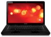 Compaq Presario CQ42-260TU (XB800PA) (Intel Pentium P6000 1.86GHz, 2GB RAM, 250GB HDD, VGA Intel HD Graphics, 14 inch, PC DOS) _small 0