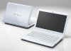 Sony Vaio VPC-EA46FG/W (Intel Core i5-480M 2.66GHz, 4GB RAM, 320GB HDD, VGA ATI Radeon HD 5470, 14 inch, Windows 7 Home Premium 64 bit)_small 2