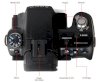 Sony Alpha SLT-A55V (DT 18-55mm F3.5-5.6 SAM) Lens Kit - Ảnh 5