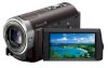 Sony Handycam HDR-CX370V_small 0