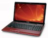 Toshiba Satellite L655D-S5152 (AMD Athlon II Dual-Core P340 2.2GHz, 4GB RAM, 320GB HDD, VGA ATI Radeon HD 4250, 15.6 inch, Windows 7 Home Premium 64 bit)_small 1