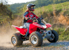 Honda ATV sport TRX250X 2012_small 1