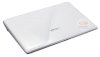 Asus Eee PC 1101HA Netbook White (Intel Atom Z520 1.33GHz, 1GB RAM, 160GB HDD, VGA Intel GMA 950, 11.6 inch, Windows XP Home) - Ảnh 14