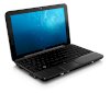 HP Mini 1000 Netbook (Intel Atom N270 1.6GHz, 1GB RAM, 60GB HDD, VGA Intel GMA 950, 10.2 inch, Windows XP Home)_small 2