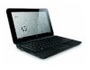 HP Mini 210-1000 (VX817EA) (Intel Atom N450M 1.6GHz, 1GB RAM, 160GB HDD, VGA Intel GMA 3150, 10.1 inch, Window 7 Starter) - Ảnh 3