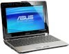 Asus N10JC (Intel Atom N280 1.66GHz, 2GB RAM, 250GB HDD, VGA NVIDIA GeForce 9300M GS, 10.2 inch, Free DOS) _small 3