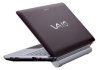 Sony Vaio VPC-W211AX/T (Intel Atom N450 1.66GHz, 1GB RAM, 250GB HDD, VGA Intel GMA 3150, 10.1 inch, Windows 7 Starter)_small 0