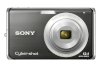 Sony CyberShot DSC-W190 - Ảnh 6