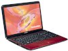 Toshiba Satellite L755D-12L (PSK32E-01M006EN) (AMD Quad-Core  A6-3400M 1.4GHz, 6GB RAM, 320GB HDD, VGA ATI Radeon HD 6520G, 15.6 inch, Windows 7 Home Premium 64 bit) - Ảnh 2