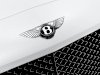 Bentley Continental Supersports Coupe 2012 - Ảnh 3