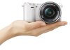 Sony Alpha NEX-5RL/W (WQ AP2) (E 16-50mm F3.5-5.6 OSS) Lens Kit_small 4
