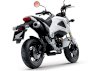 Honda MSX125 2013 ( Màu vàng ) - Ảnh 3