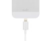 Moshi Lightning to USB Cable - Silver (99MO023119)_small 0